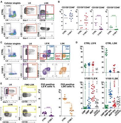 Hematopoiesis Remains Permissive to Bone Marrow Transplantation After Expansion of Progenitors and Resumption of Blood Cell Production